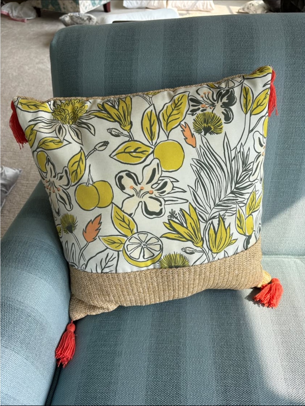 TARGET SUMMER OUTDOOR PATIO DECORATIVE THROW PILLOW W/ TASSLES
